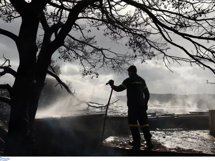 Μάνδρα: Φωτιά σε χώρο επιχείρησης ξυλείας