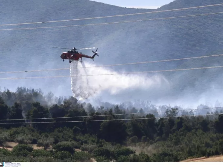 ΙΝΤΙΜΕ