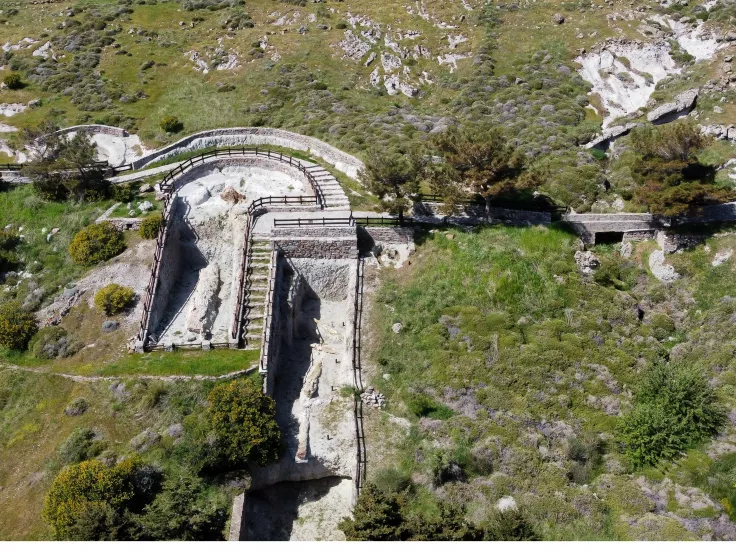 ΟΙ ΑΓΡΙΕΣ ΟΡΧΙΔΕΕΣ ΤΟΥ ΑΠΟΛΙΘΩΜΕΝΟΥ ΔΑΣΟΥΣ ΣΤΟ ΣΙΓΡΙ ΤΗΣ ΛΕΣΒΟΥ