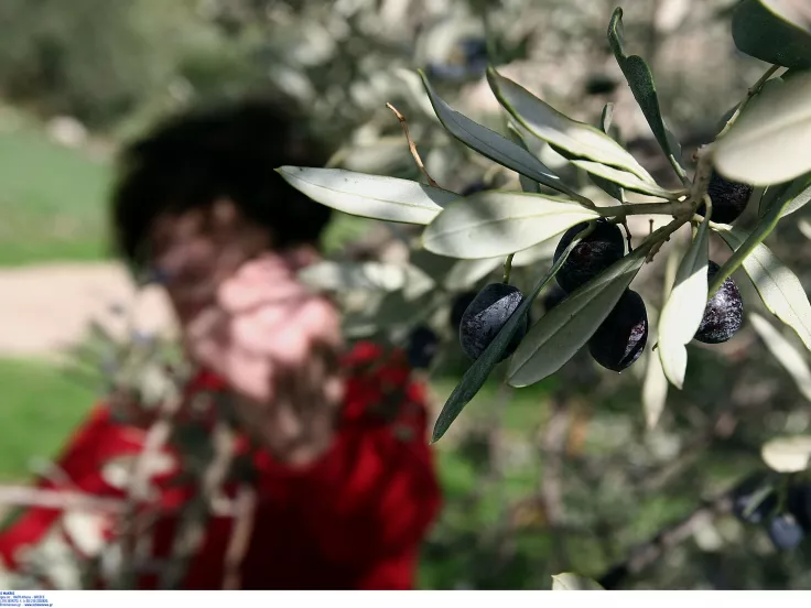 Περιφέρειες: Άνοιξαν οι αιτήσεις για 16 προσλήψεις στα Χανιά