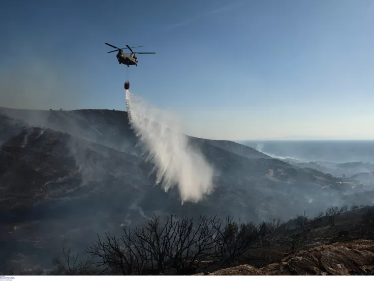 Φωτιά τώρα στη Φωκίδα - Επιχειρούν 42 πυροσβέστες