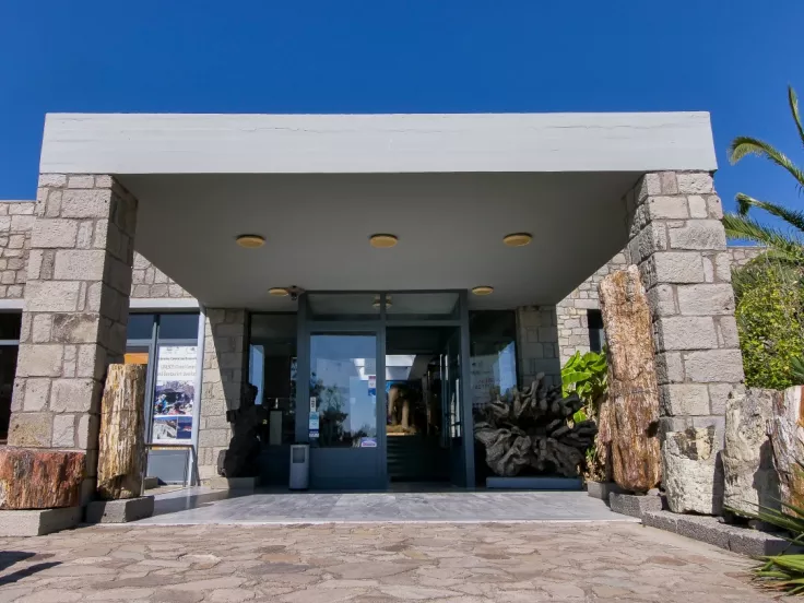 Μουσείο Φυσικής Ιστορίας Απολιθωμένου Δάσους Λέσβου
