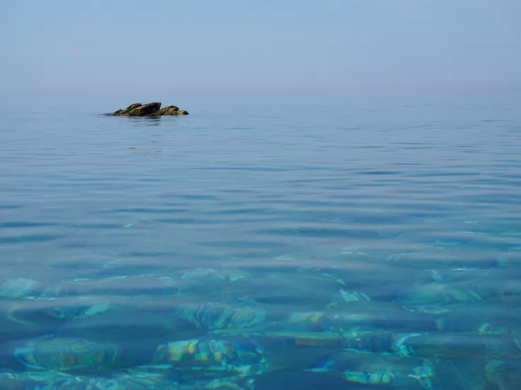 Σχηματίζεται νέος ωκεανός κάτω από την Αφρική - Η ανακάλυψη των επιστημόνων