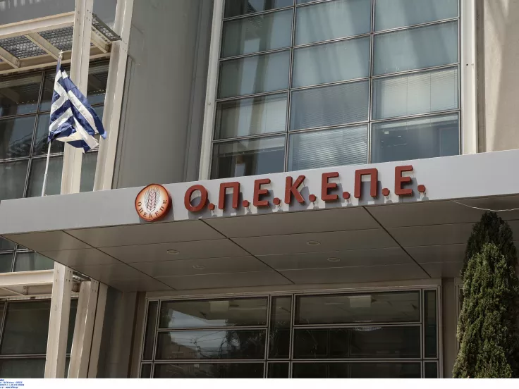 Τσουκαλάς: «Χαράτσι» 42 ευρώ για κάθε Έλληνα το πρόστιμο ΟΠΕΚΕΠΕ
