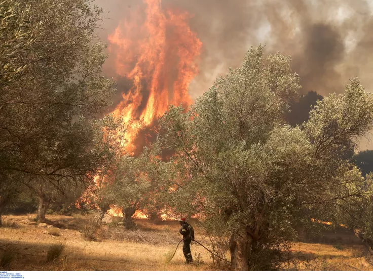 Πολύ υψηλός κίνδυνος πυρκαγιάς αύριο σε τρεις περιοχές (χάρτης)
