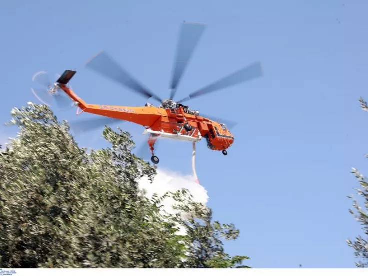 ΙΝΤΙΜΕ