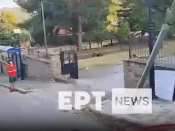 Αρκούδα Καστοριά