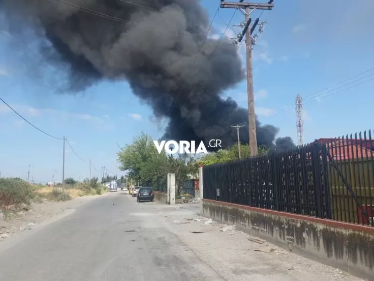 Φωτιά τώρα στη Σίνδο