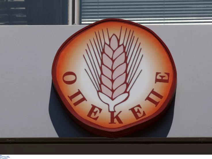 ΟΠΕΚΕΠΕ: Στο «μικροσκόπιο» τα ΑΦΜ που λάμβαναν υπέρογκες επιδοτήσεις