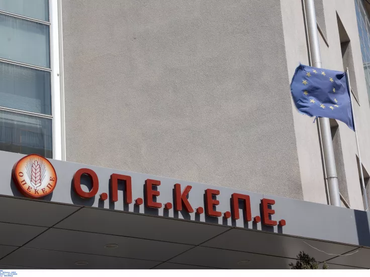 Σκάνδαλο ΟΠΕΚΕΠΕ: «Αυτή η Τυχεροπούλου... Αν την είχα σκοτώσει τώρα θα ήμουν έξω»