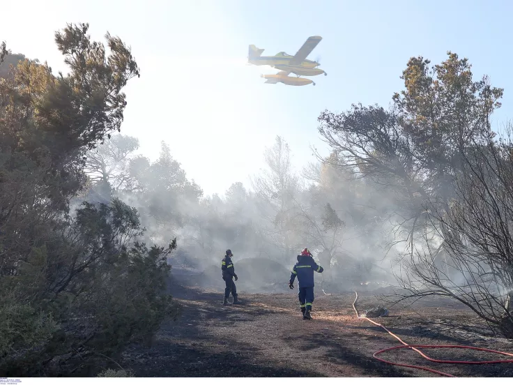 Η πυρκαγιά από την Αλβανία πέρασε στο ελληνικό έδαφος – Επιχειρούν δυνάμεις στον Τσαμαντά Θεσπρωτίας