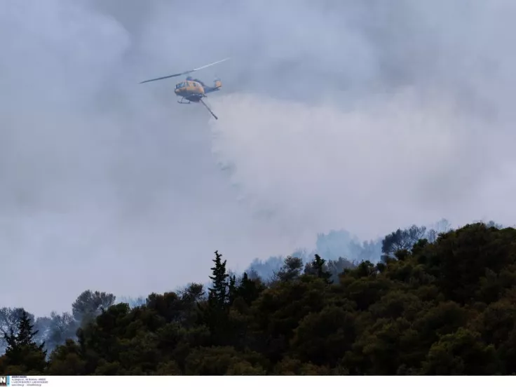ΙΝΤΙΜΕ