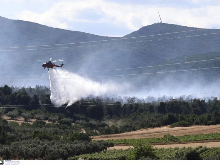 ΙΝΤΙΜΕ