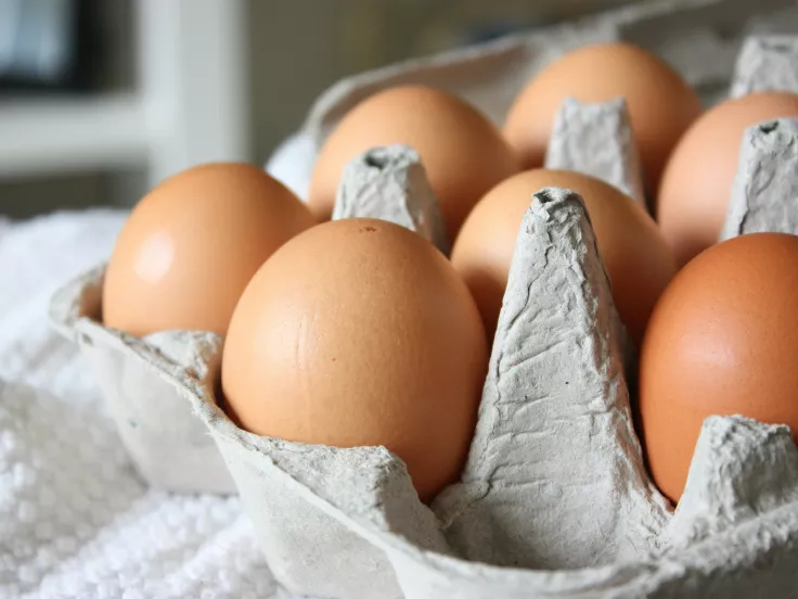 Αυγά - Eggs
