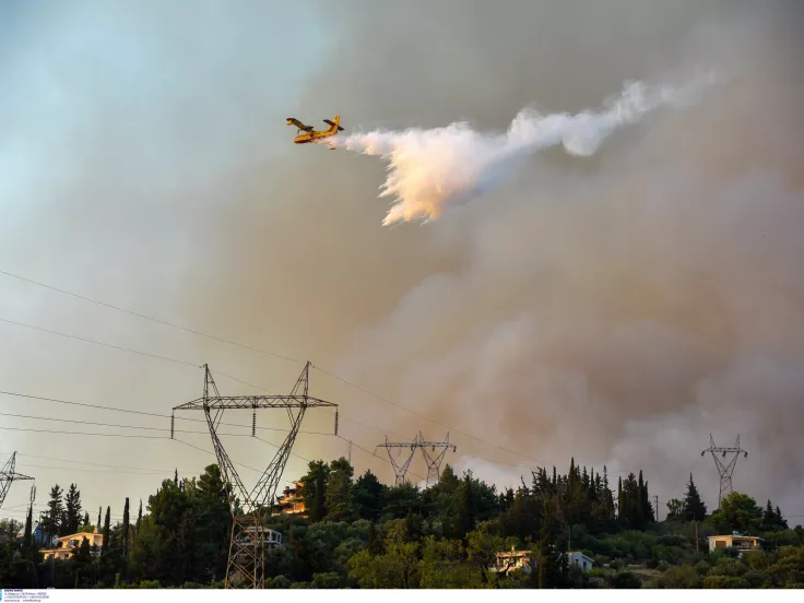 Πελεή Αργολίδας: Ξέσπασε φωτιά σε δάσος - Στη «μάχη» και εναέρια μέσα