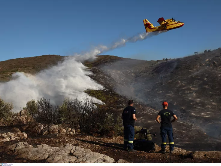 Φωτιά τώρα στη Βοιωτία: Ήχησε το 112 - Επιχειρούν εναέρια μέσα
