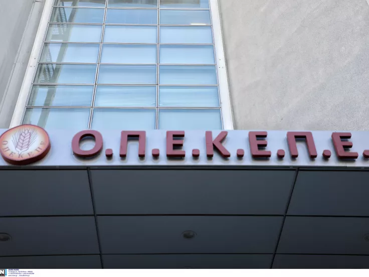 Σκάνδαλο ΟΠΕΚΕΠΕ: Έρευνα ζητά η Ευρωπαϊκή Εισαγγελία για επιδοτήσεις που έλαβε το πρώην στέλεχος της ΝΔ, Κ. Σεμερτζίδου