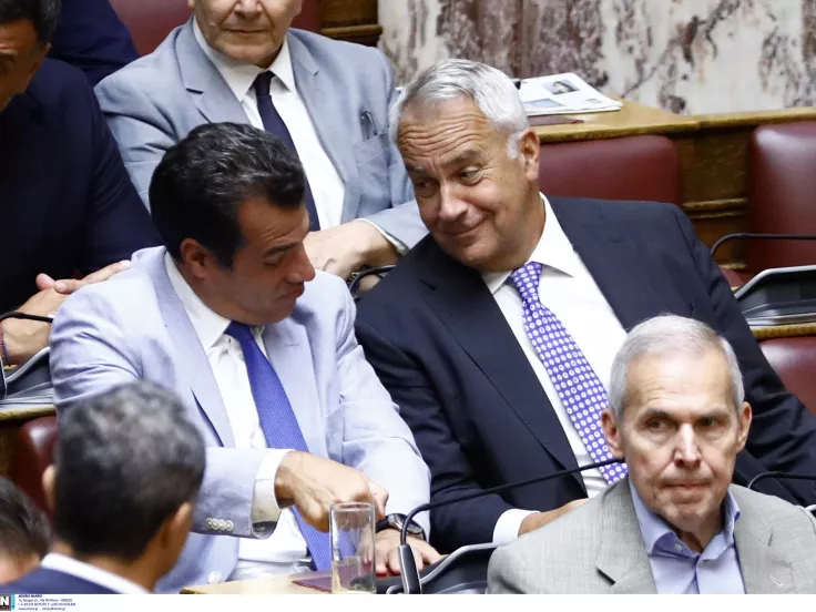 Πλευρης βοριδης