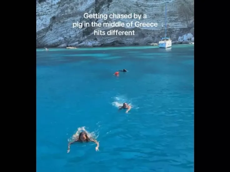 βιντεο