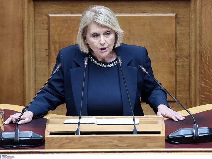 Βούλτεψη για φωτιές: Δε φταίει ο κρατικός μηχανισμός αλλά... οι εθελοντές