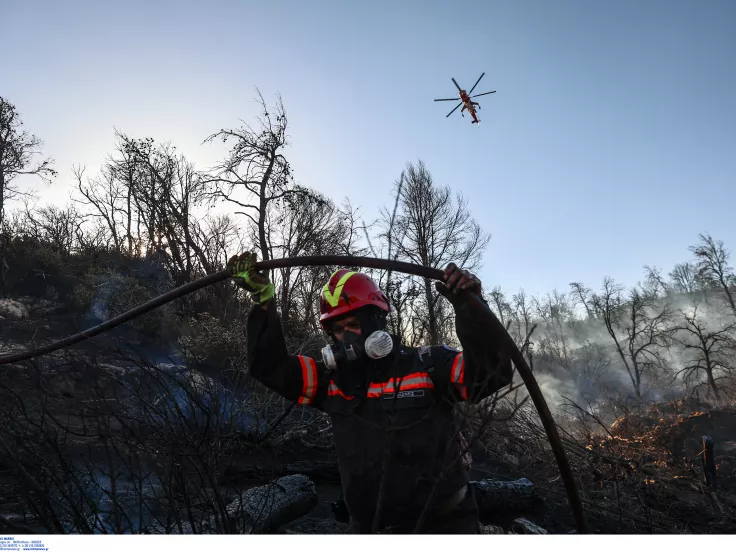 Θεσσαλονίκη: Συνελήφθη 55χρονος καταζητούμενος - Υπεύθυνος για εμπρησμό της Πάρνηθας και άλλων δασών