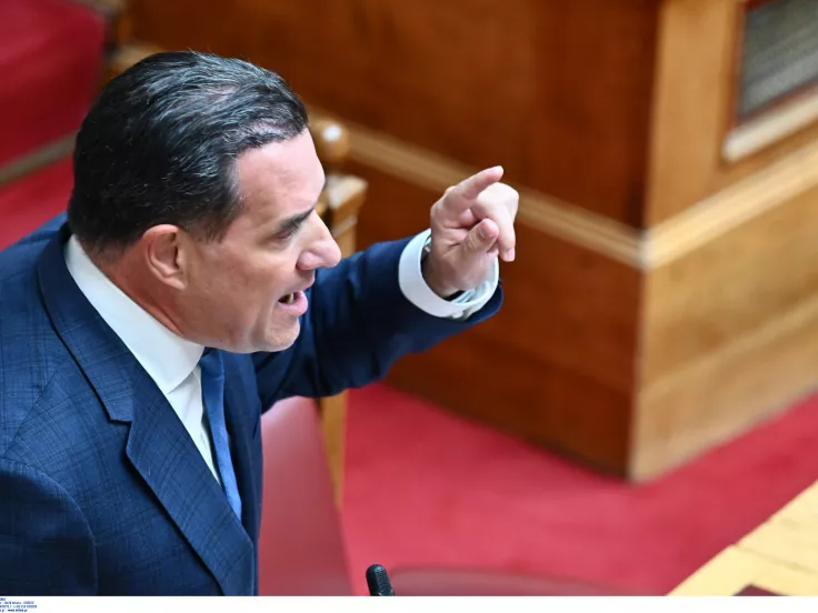 Γεωργιάδης: Αχαΐρευτοι και άχρηστοι όσοι που μαζεύτηκαν χθες στο Αττικόν