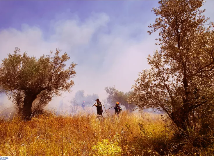 Πληγέντες από φετινές πυρκαγιές