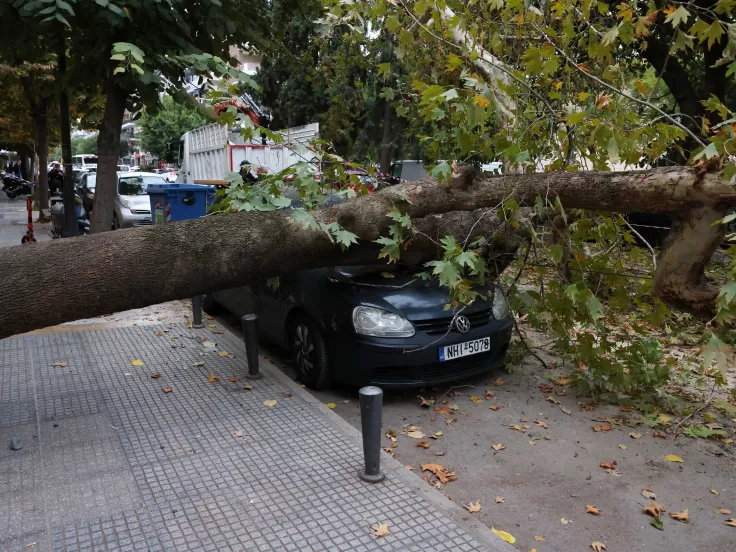 πτώση δέντρου στην Τούμπα, στη Θεσσαλονίκη