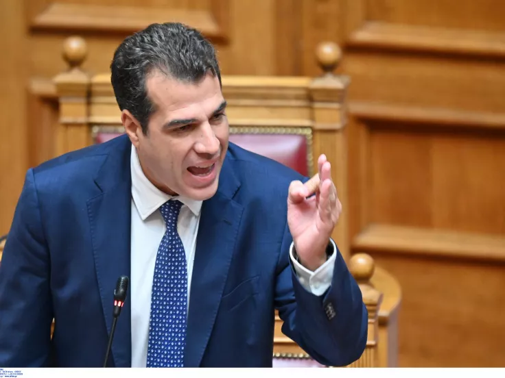 Πλεύρης: Ο κ. Ρούτσι έχει δικαίωμα να διερευνήσει ό,τι θέλει για το παιδί του