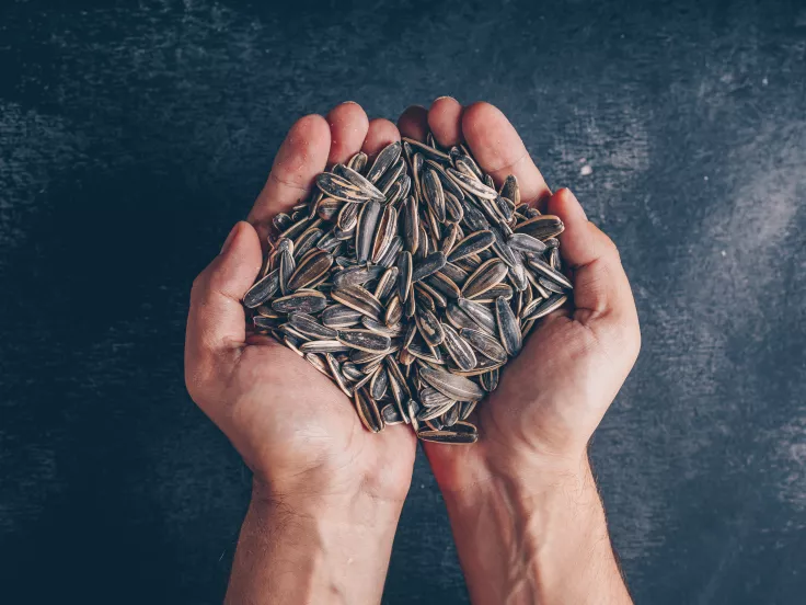 Ηλιόσποροι: Επτά λόγοι για να τους εντάξετε στη διατροφή σας