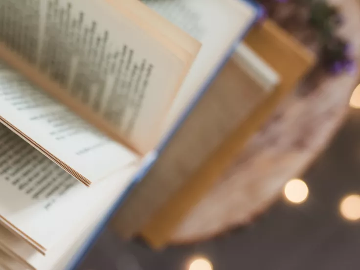 Τι σημαίνει η λέξη «ραγιάς»