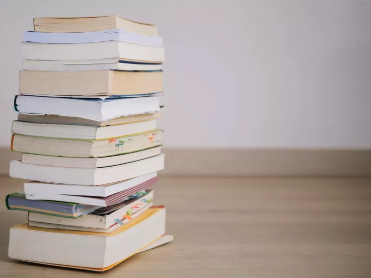 Τι σημαίνει η λέξη «φρενήρης»