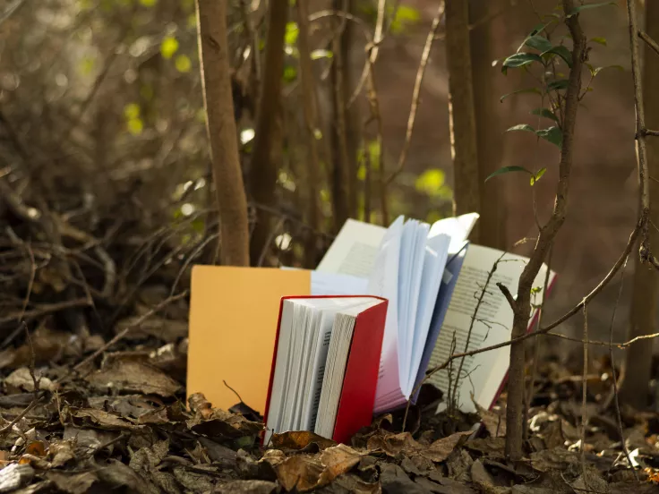 Τι σημαίνει η λέξη «ιόχρους»