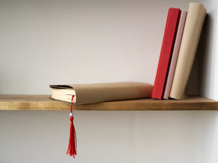 Τι σημαίνει η λέξη «φρούδος»