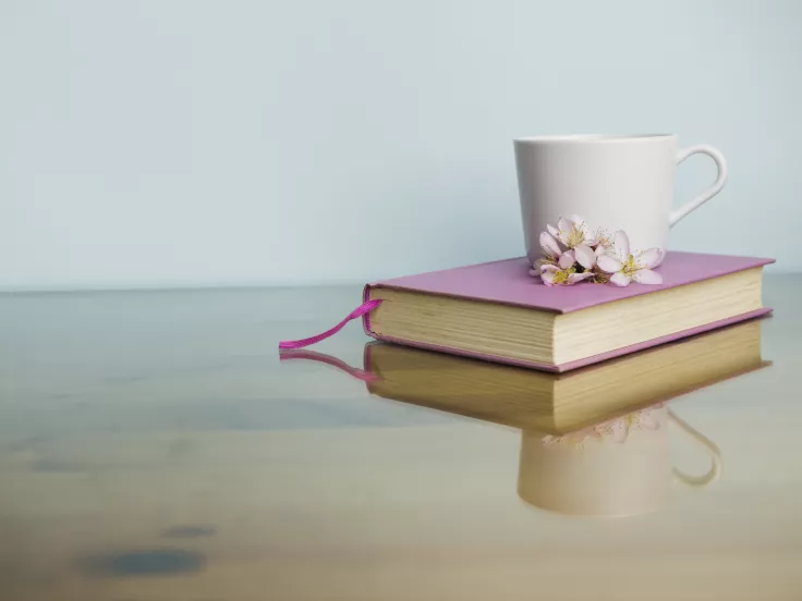 Τι σημαίνει η λέξη «ρύμη»