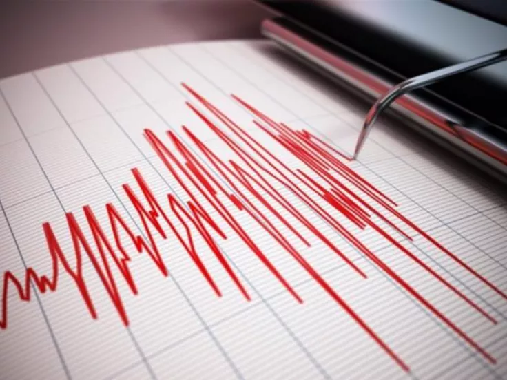 Σεισμική δόνηση