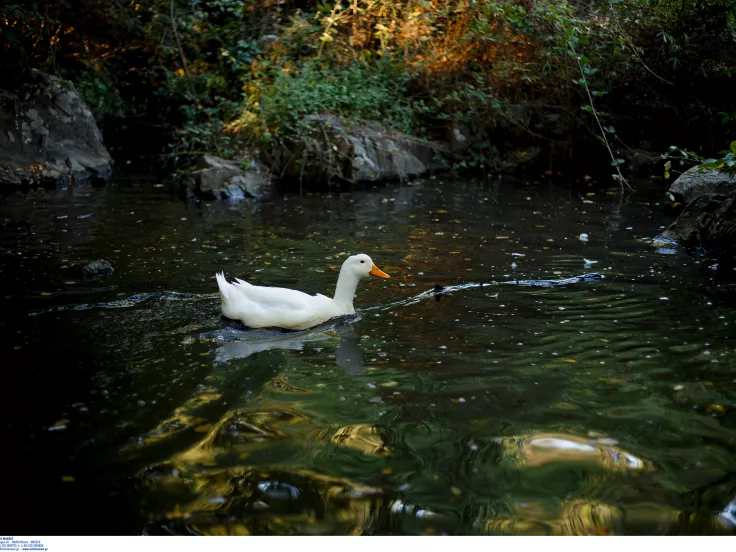 Θεσσαλονίκη: Προσωρινά κλειστός ο Ζωολογικός Κήπος