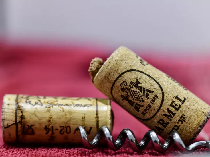 Τιρμπουσόν