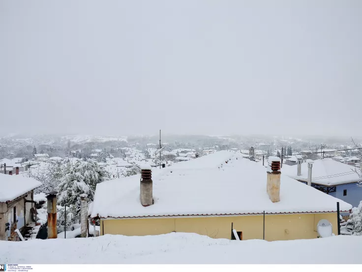 Χιόνια και πολικό ψύχος