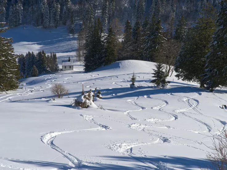 Χιόνια και πολικό ψύχος