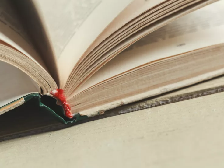 «Ρεζίλι»: Πώς αποδίδεται η λέξη στα ελληνικά;