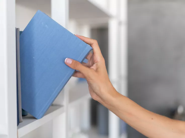 Τι σημαίνει η λέξη «βοεβόδας»