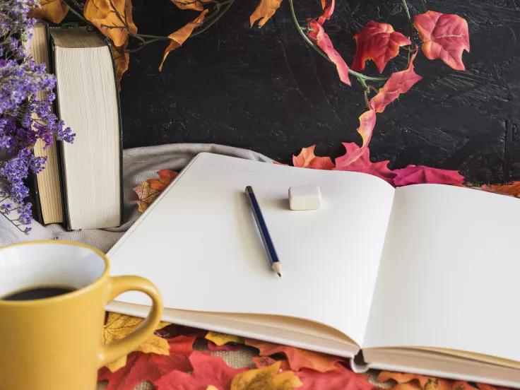 Τι σημαίνει η λέξη «ζαφλεγής»