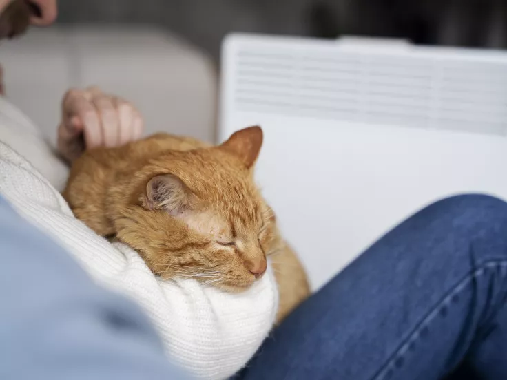 ΔΕΗ: Σταθερές οι τιμές στα «πράσινα» τιμολόγια τον Ιανουάριο - Δείτε τις χρεώσεις