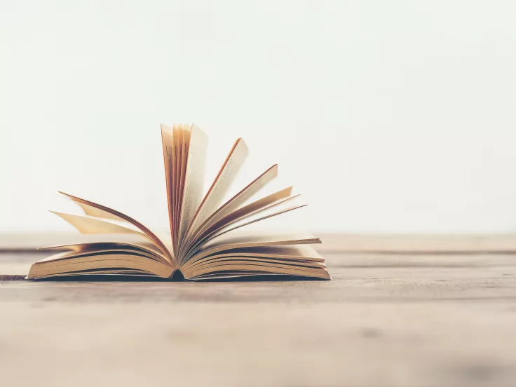 Πώς λέμε στα ελληνικά τη λέξη «μεράκι»;