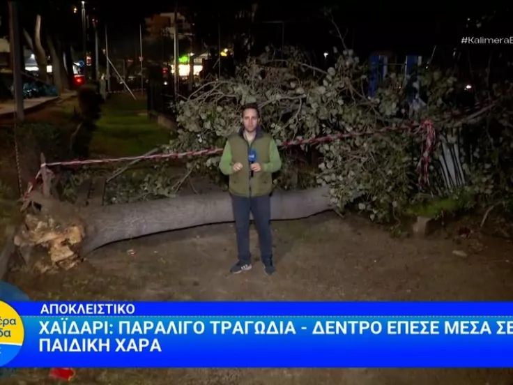 Παραλίγο τραγωδία στο Χαϊδάρι: Δέντρο έπεσε σε παιδική χαρά (βίντεο)