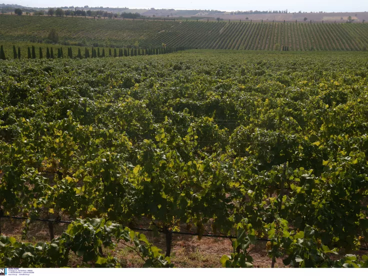 ΓΟΕΒ Θεσσαλονίκης - Λαγκαδά: Τελευταία ευκαιρία για 48 προσλήψεις