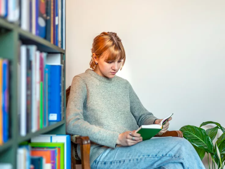 Τι σημαίνει η λέξη «μπαταχτσής»