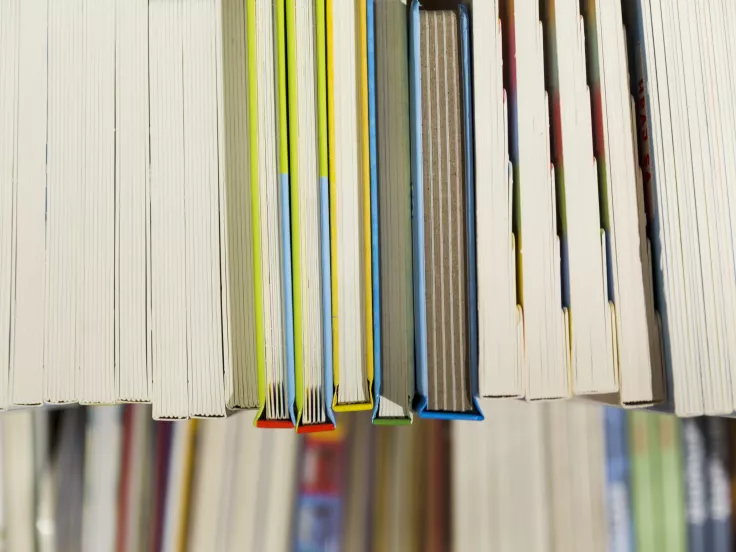 Τι σημαίνει η λέξη «γεώμηλο» - Είναι πασίγνωστο λαχανικό