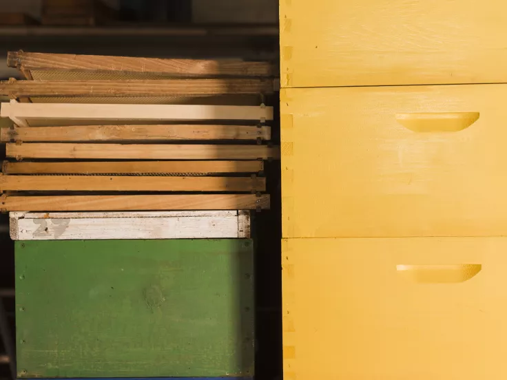 Τι σημαίνει η λέξη «άτρακτος»